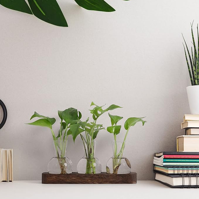 YIBOT Propagation Stations,Plant Propagation Vase,Desk Plant Terrarium with Retro Wooden Stand,Plant Lover Gifts for Women for Hydroponics Plants Home Garden Wedding Decor(3 Vase)