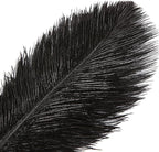 THARAHT Black Ostrich Feathers 12pcs Large Natural Bulk 20-22Inch 50cm-55cm for Wedding Party Centerpieces Halloween and Home Decoration Feathers