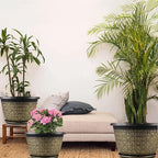 10 Inch Plant Pots, 4 Pack Flower Pots Outdoor with Drainage Holes & Trays, Retro Antique Imitation Decorative Garden Plastic Pots for Plants Indoor Sets for Houseplants