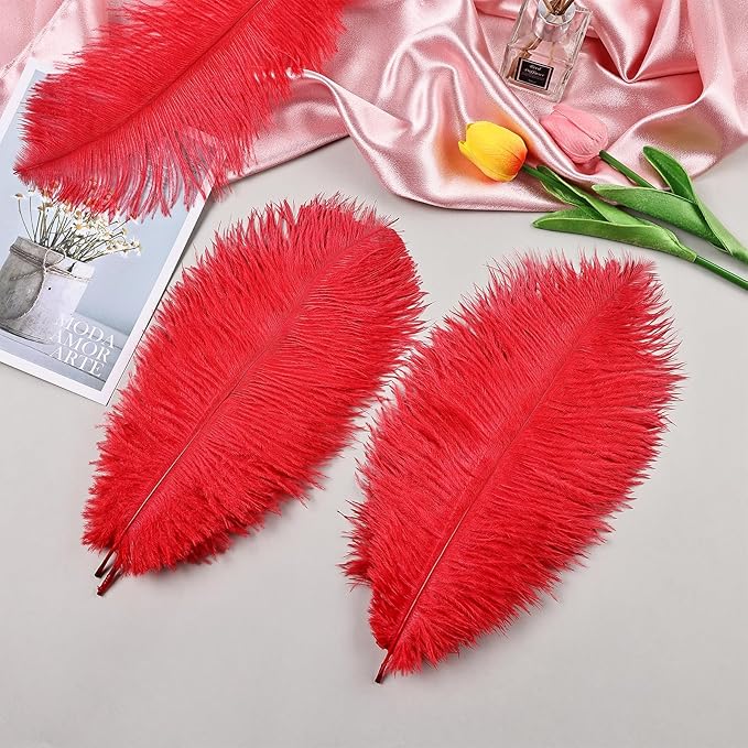 THARAHT Red Ostrich Feathers 12pcs Natural Bulk 8-10Inch 20cm-25cm for Crafts Wedding Party Centerpieces Flower Arrangement Halloween and Home Decoration Feathers