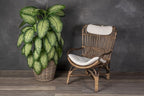 Rattan Kobo Indoor Outdoor Planter Basket with Plastic Pot X Large 12 Gallon Soil Capacity