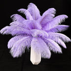 THARAHT Lavender Ostrich Feathers 12pcs Natural Bulk 10-12Inch 25cm-30cm for Crafts Wedding Party Centerpieces Easter Gatsbi and Decoration Feather