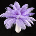 THARAHT Lavender Ostrich Feathers 24pcs Natural Bulk 10-12Inch 25cm-30cm for Crafts Wedding Party Centerpieces Easter Gatsbi and Decoration Feather
