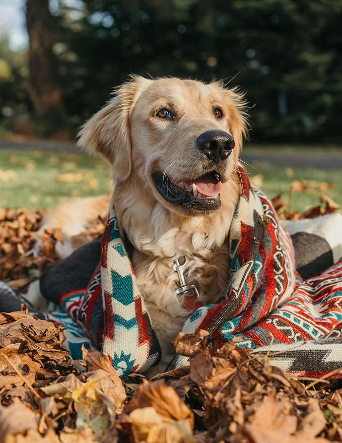 Inca Aztec Throw, Queen, King Blanket | Southwest Indian Navajo Boho Style | Native Cover for Camping, Bedding, Couch, Vanlife | Faux Alpaca, Lightweight, Hypoallergenic (Pachamama Brown, Queen)