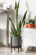 D'vine Dev Ceramic Planter with Walnut Color Stand - 10 Inch Modern Round Flower Pot with Wood Planter Holder, Grey, 55-B-X-3