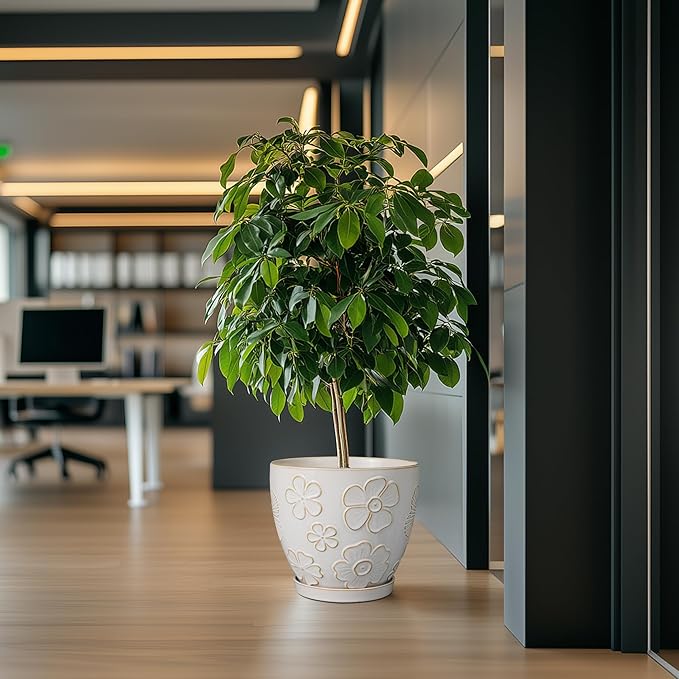 10 Inch Ceramic Planter Pot Large Plant Pot for Indoor Plants Outdoor Round Flower Pot with Drainage Hole and Saucer for Home Garden Decor White