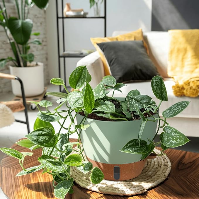 12/10/8 Inch Self Watering Pots for Indoor Plants Plastic Large Plant Pot for Outdoor Plants, Water Level Window & Spacious Reservoir Flower Pots Decorative Planter with Drainage and Tray (Green)