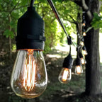 Hometown Evolution, Inc. 100 Foot E26 Commercial Outdoor Edison Bulb String Lights with Suspended Sockets (100 Foot 50 Socket, S14 Lantern Edison 11 Watt Bulbs)