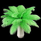 THARAHT Green Ostrich Feathers 24pcs Natural Bulk 10-12Inch 25cm-30cm for Crafts Wedding Party Centerpieces Mardi Gras and Home Decoration Feathers