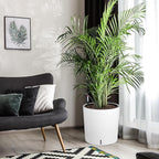 Tall Round Planter Set of 2, 19.5‘’ H x 19.9" Dia Large Planters for Indoor Plants with Built-in Drainage and a Water Level Monitor and Wheels for Patio, Porch, Living Room, or Home Office, White