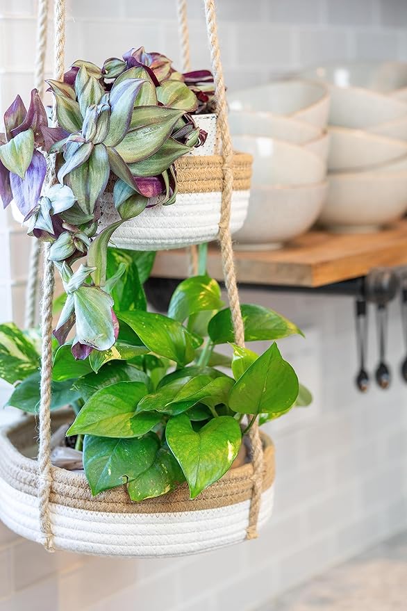 CEDAR+PINE 3-Tier Lined Hanging Fruit Basket Natural Woven Cotton with Strong Jute Rope Hanger in Gift Box Modern Hanging Basket for Kitchen