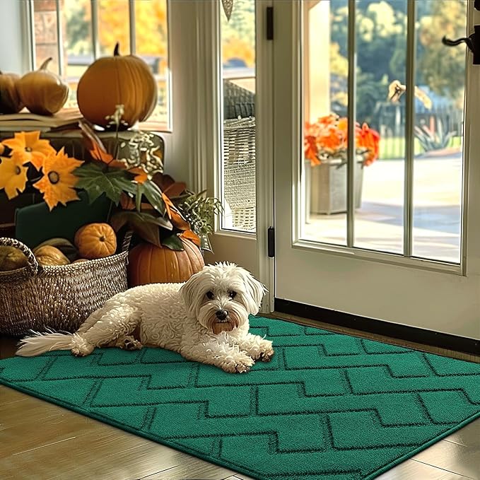 hicorfe Indoor Door Mat,Non Slip Door Mats,32"x48" Front Back Door Mat Rubber Backing,Absorbent Resist Dirt Entrance Inside Floor Mats for Entryway Washable Low-Profile(Evergreen)
