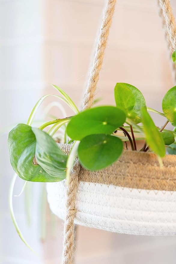 CEDAR+PINE 3-Tier Lined Hanging Fruit Basket Natural Woven Cotton with Strong Jute Rope Hanger in Gift Box Modern Hanging Basket for Kitchen