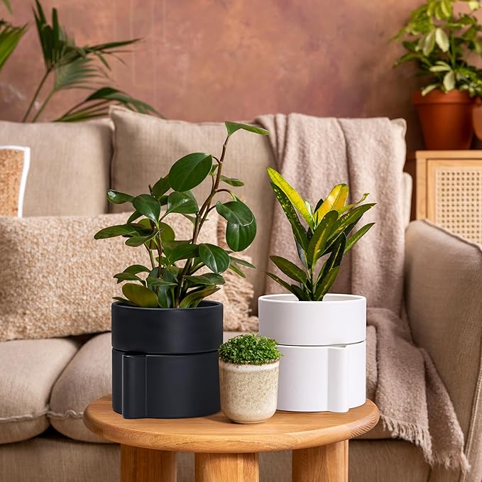 Phoenix Vine 6.5 Inch Self-Watering Planter Pot with Terracotta Insert, Deep Water Reservoir, and Ceramic-Alike BPA-Free Plastic Pot for Plant, Modern Planter for Houseplants, White, 53-A-S-1