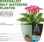 Plant Pots 10/9/8/7.5/7 Inch Self Watering Pots, Set of 5 Plastic Planters with Drainage Holes and Saucers,Plastic Flower Pots,Nursery Planting Pot for Indoor Out Door Plants（Green）