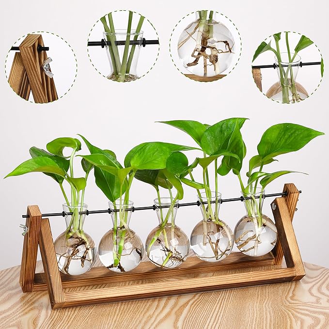 YIBOT Propagation Stations,Plant Terrarium with Wooden Stand,Plant Lover Gifts for Women for Hydroponics Plants Home Garden Wedding Decor(5 Bulb Vase)