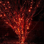 DAZZLE BRIGHT Halloween 300 LED String Lights, 100FT Connectable String Lights with 8 Lighting Modes, Halloween Decorations for Party Carnival Supplies, Indoor Outdoor Yard Garden Decor (Orange)