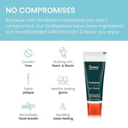 Himalaya Botanique Neem & Pomegranate Travel Toothpaste, Mint Flavor - Travel Size Fluoride Free Toothpaste Fights Plaque & for Fresh Breath - Vegan, Gluten Free, No SLS, 0.74 oz (Pack of 20)