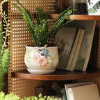 Ceramic Plant Pots with Drainage Holes and Saucers, Round Flower Pots for Indoor Plant, 3.9/5.2/6.7 Inches Flower Large Planters Set of 3