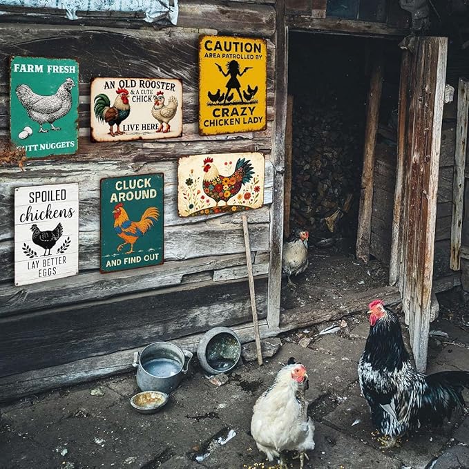 6 Pack Chicken Coop Signs – Vintage Farm Accessories Funny Metal Tin Signs for Outdoor Chicken Coop Decor, Farmhouse Wall Art, Rustic Barn Yard Decorations, 8x12 Inch