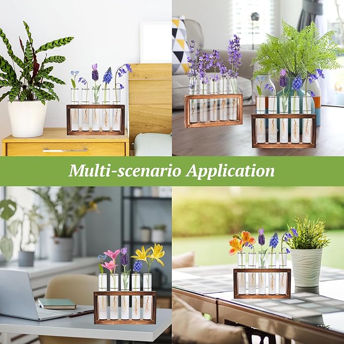 2pcs Desktop Glass Plant Propagation Station with 10 Test Tubes in Wooden Stand - Hydroponic Plants Cutting Office Home Decoration and Garden Decor Terrarium (10 Tubes)