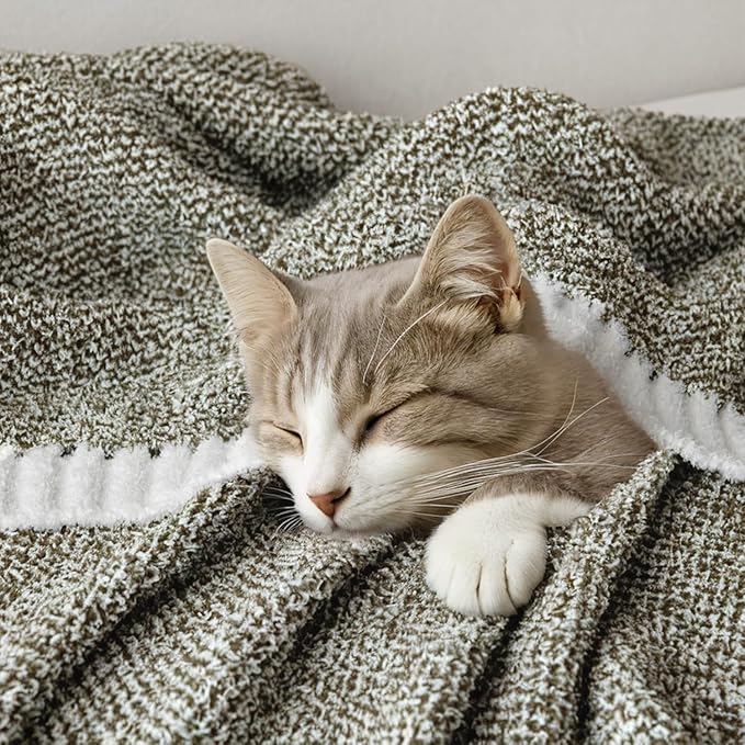 MIULEE Super Soft Throw Blanket for Couch, Olive Green Cozy Fluffy Warm Blankets Lightweight Knit Throw Blankets for Sofa, Bed, Chair, Living Room, Camping, Picnic, 50 x 60 inch