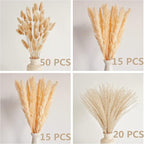 Natural Dried Pampas Grass Decor, Beige Pampas Grass, Bunny Tails Dried Flowers, Reed Grass Bouquet for Wedding Boho Flowers Home Table Decor, Rustic Farmhouse Party (100 in Total )