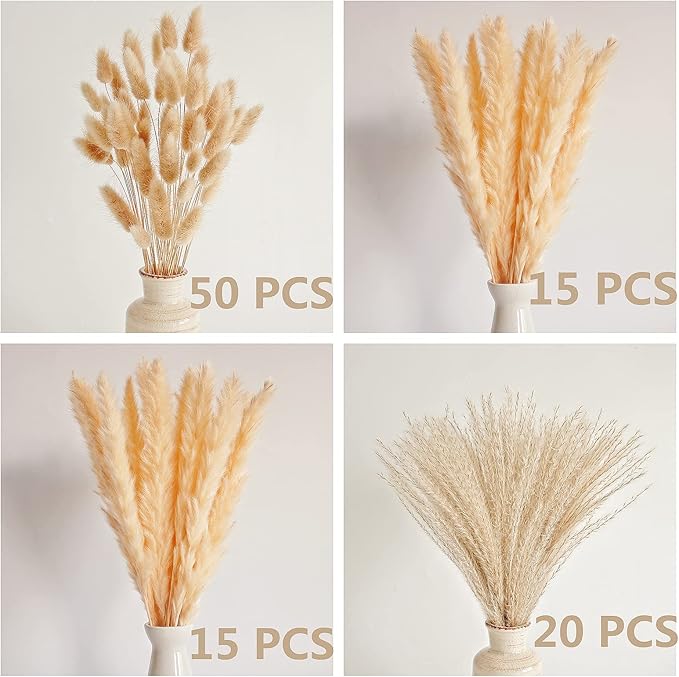 Natural Dried Pampas Grass Decor, Beige Pampas Grass, Bunny Tails Dried Flowers, Reed Grass Bouquet for Wedding Boho Flowers Home Table Decor, Rustic Farmhouse Party (100 in Total )