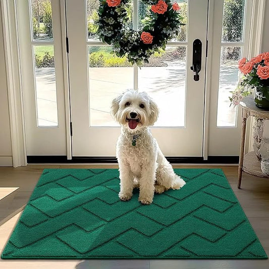 hicorfe Front Door Mat Outside Entrance,32"x40" Absorbent Muddy Dirt Resist Welcome Door Mats Outdoor Indoor,Stain and Fade Resistant,Non Slip Backing Entry Mat Doormat for Entryway(Evergreen)
