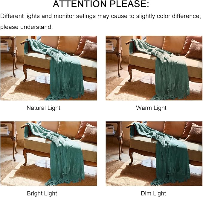 lifein Throw Blanket for Couch, Soft Boho Decor Bed Throw,Cozy Blue Chenille Knitted Small Farmhouse Lightweight Throw for Spring(Aqua,50 * 60")