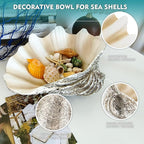 Large Mud Gray Clam Shells Decorative Bowl,Weathered style ClamShell Bowl Beach Decorations for Home Coastal Beach Decor Decoration Storage Bowls & Home Office Nautical Themed Party Decor -10.2"-1PC
