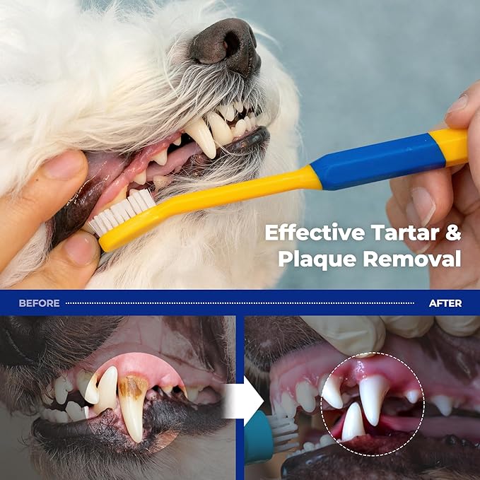 PETHROOM] Pet Toothbrush | Dogs and Cats Teeth Brushing Cleaning Tooth Care | Soft Bristle Cleaning Toothbrush for Dog Puppy Cat, Removing Old Plaque and Tartar (Medium)