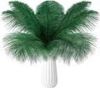 THARAHT Blackish Green Ostrich Feathers 12pcs Natural Bulk 10-12Inch 25cm-30cm for Crafts Wedding Party Centerpieces Mardi Gras Decoration Feather