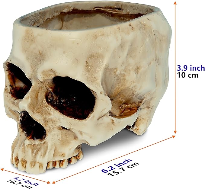 READAEER Skull Planter with Drain Hole, Resin Skull Shaped Flower Pot Candy Bowl, Gothic Decoration for Home Office Desk- White