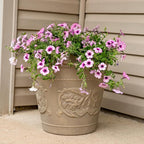 Sunnydaze 19.5-Inch Arabella Large Plant Pot - Polyresin Round Outdoor Planter with Drillable Drainage Holes - 4 Pack - Beige