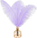 THARAHT Lavender Ostrich Feathers 12pcs Large Natural Bulk 16-18Inch 40cm-45cm for Wedding Party Centerpieces Easter Gatsbi and Decoration Feather