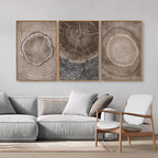 SIGNINART Beige Tree Ring Framed Canvas Wall Art Set, Abstract Black and White Rustic Wood Wall Decor, Neutral Wood Stump Artwork, Modern Art Prints for Bedroom Living Room Office 16"x24"x3