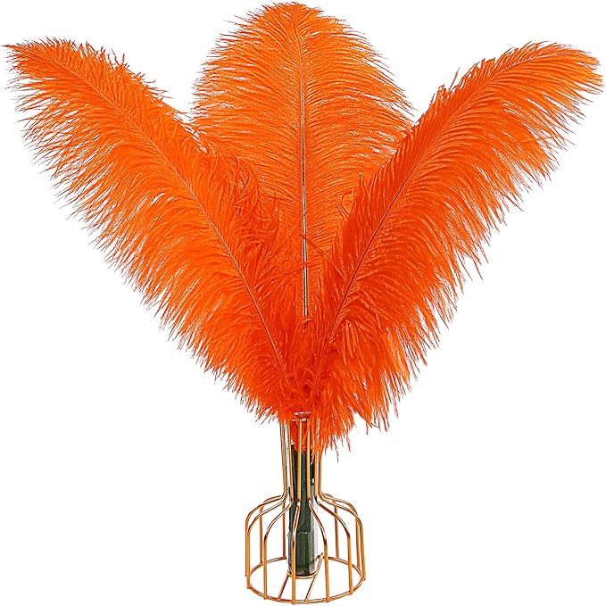 THARAHT Orange Ostrich Feathers 12pcs Large Natural Bulk 12-14Inch 30cm-35cm for Wedding Party Centerpieces Halloween and Home Decoration Feathers