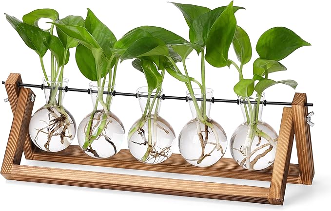 YIBOT Propagation Stations,Plant Terrarium with Wooden Stand,Plant Lover Gifts for Women for Hydroponics Plants Home Garden Wedding Decor(5 Bulb Vase)