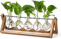 YIBOT Propagation Stations,Plant Terrarium with Wooden Stand,Plant Lover Gifts for Women for Hydroponics Plants Home Garden Wedding Decor(5 Bulb Vase)