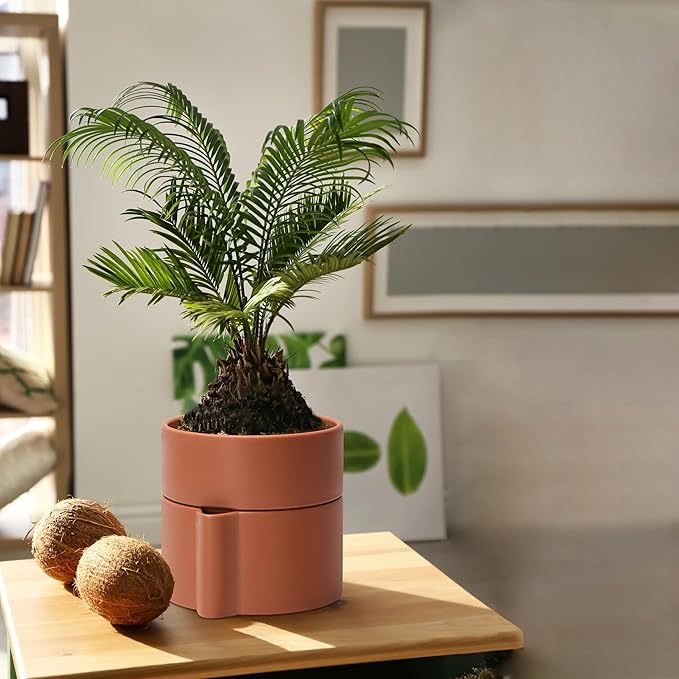 Phoenix Vine 6.5 Inch Self-Watering Planter Pot with Terracotta Insert, Deep Water Reservoir, and Ceramic-Alike BPA-Free Plastic Pot for Plant, Modern Planter for Houseplants, Terracotta, 53-A-S-3