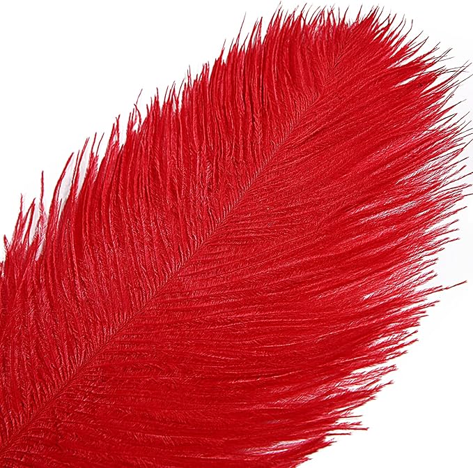 THARAHT Red Ostrich Feathers 12pcs Large Natural Bulk 14-16Inch 35cm-40cm for Wedding Party Centerpieces Halloween and Home Decoration Feathers