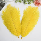 THARAHT Yellow Ostrich Feathers 24pcs Natural Bulk 10-12Inch 25cm-30cm for Crafts Wedding Party Centerpieces Halloween and Home Decoration Feathers