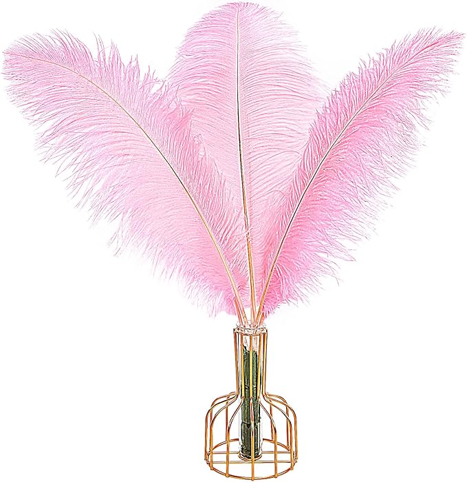 THARAHT 12PCS Ostrich Feathers Natural Bulk 12-14Inch(30-35cm) for Wedding Party Centerpieces Easter Gatsby Flower Arrangement and Home Decorate Ostrich Feathers,Pink