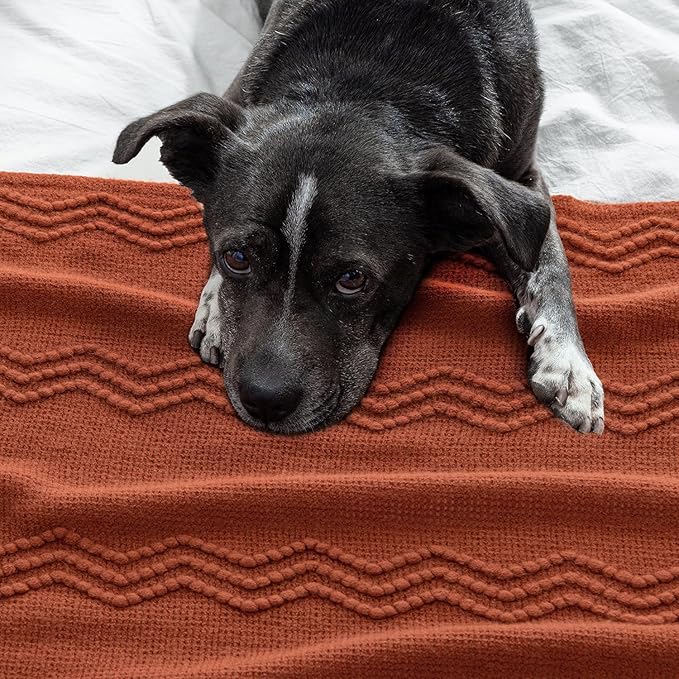 MIULEE Fall Rust Knitted Throw Blanket for Couch Boho Terracotta Textured Cozy Woven Blanket with Tassels for Sofa Chair Bed Living Room Acrylic Wave Pattern 60"x80"