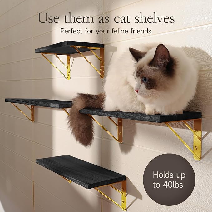 BAYKA Floating Shelves for Bedroom Decor, Wall Shelves for Storage, Wall Mounted Rustic Wood Floating Shelf for Books,Corner Shelf for Bathroom,Kitchen,Living Room(Black and Gold，Set of 4)