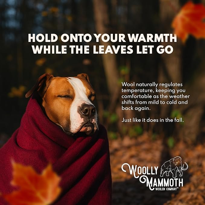 Woolly Mammoth Woolen Company Merino Wool Blanket - 66" x 90", 4 lb Orange - Heavyweight Insulated & Breathable Outdoor Throw Blanket for Camping, Hiking & Emergency Use