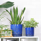 8 Inch + 6 Inch Indoor Plant Pot with Drainage Holes and Saucers, Ceramic Planter for Plants Succulent Orchid Flower Pots