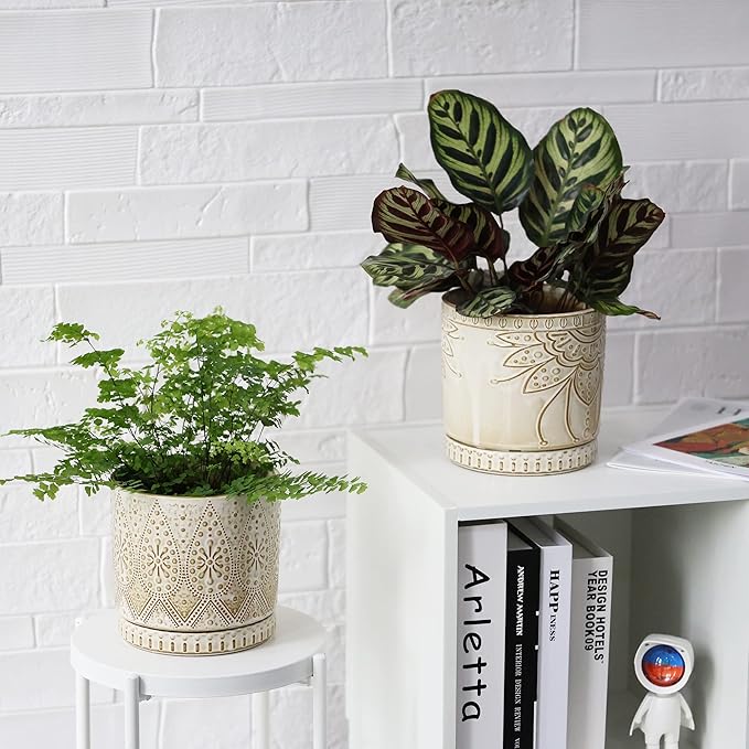 6 Inch Indoor Plant Pots with Drainage Holes and Saucers, Ceramic Planter for Plants, Flower Pot - Set of 2