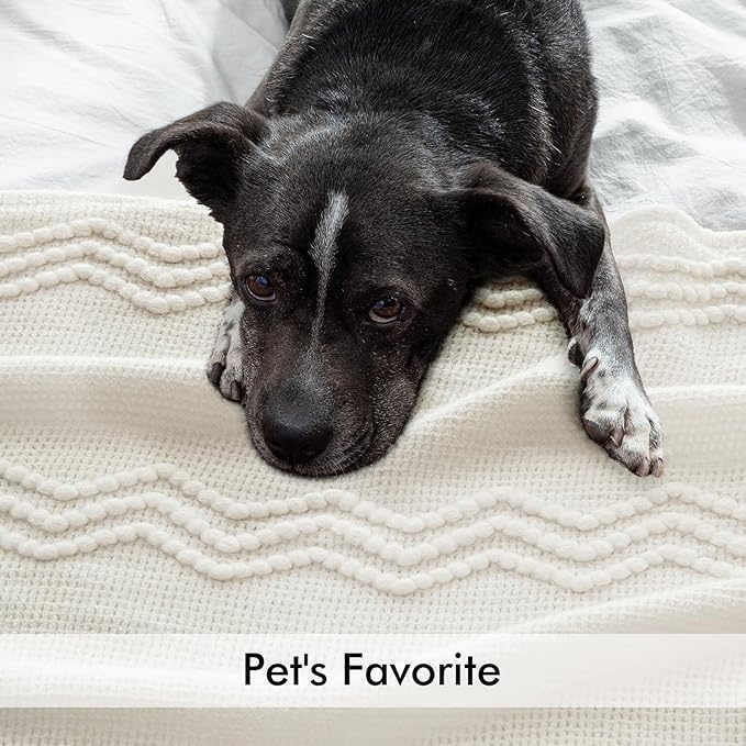 MIULEE Off White Knitted Throw Blanket for Couch Textured Knit Blanket with Tassels Cozy Woven Boho Bed Blanket for Sofa Bed Chair Acrylic Wave Pattern 50"x60"